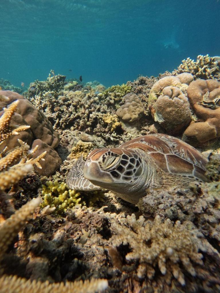 Gili Kulemba Bungalow Джили Трауанган Екстериор снимка