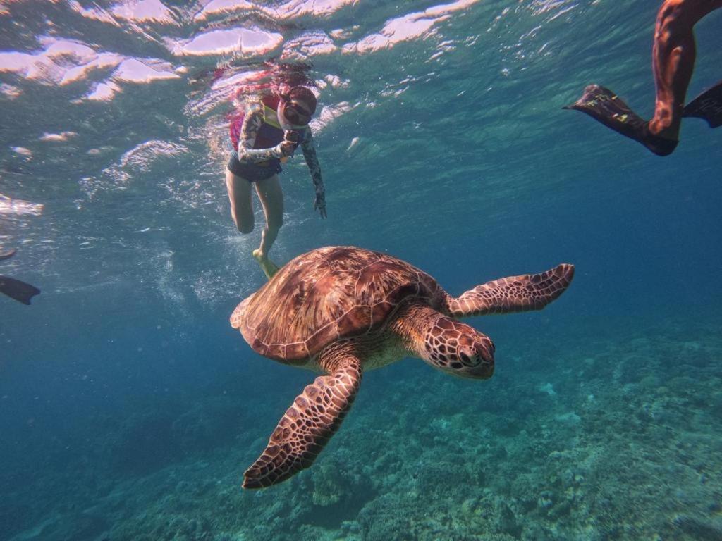 Gili Kulemba Bungalow Джили Трауанган Екстериор снимка